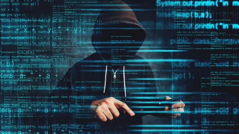 Voter databases available on the dark web - report
