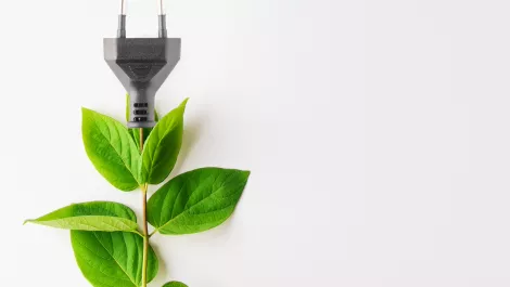 Fibre the most environmentally friendly broadband option according to new research