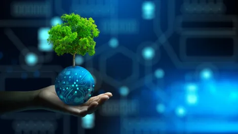 MEQ partners with Siemens to improve red meat industry